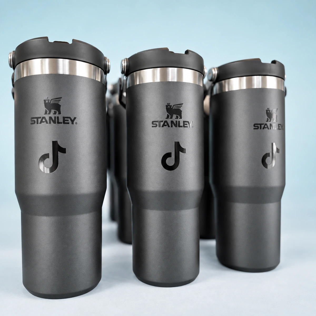 TikTok gray Stanley bottles